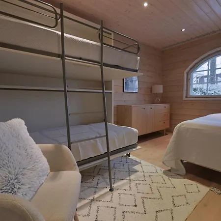 Arctos - Modern Near Slopes