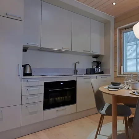 Arctos - Modern Near Slopes