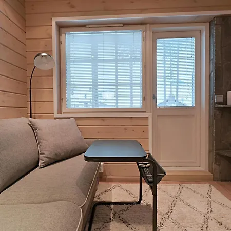 Arctos - Modern Near Slopes